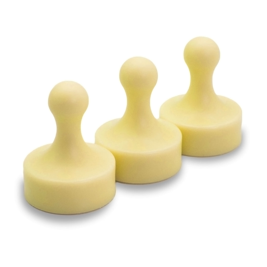 Super Strong Neodymium Pawn Magnets