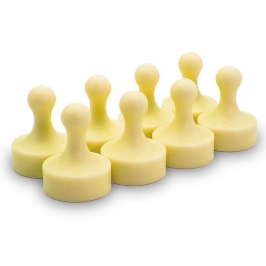 Super Strong Neodymium Pawn Magnets