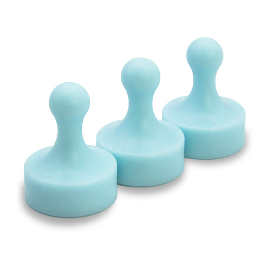 Super Strong Neodymium Pawn Magnets