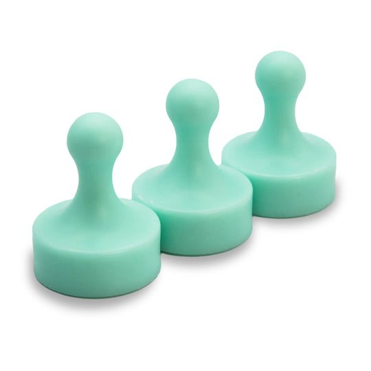 Super Strong Neodymium Pawn Magnets