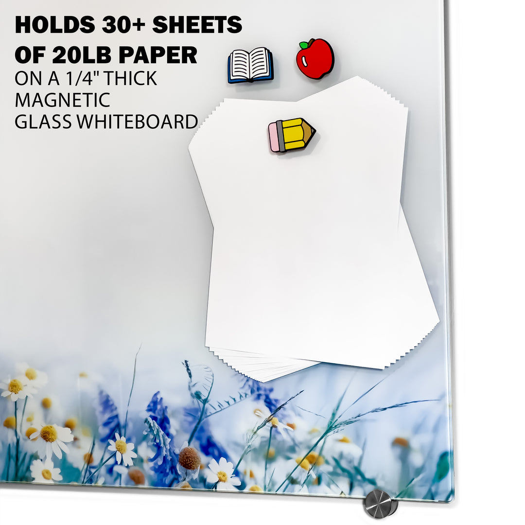 Back to School Magnet Set
