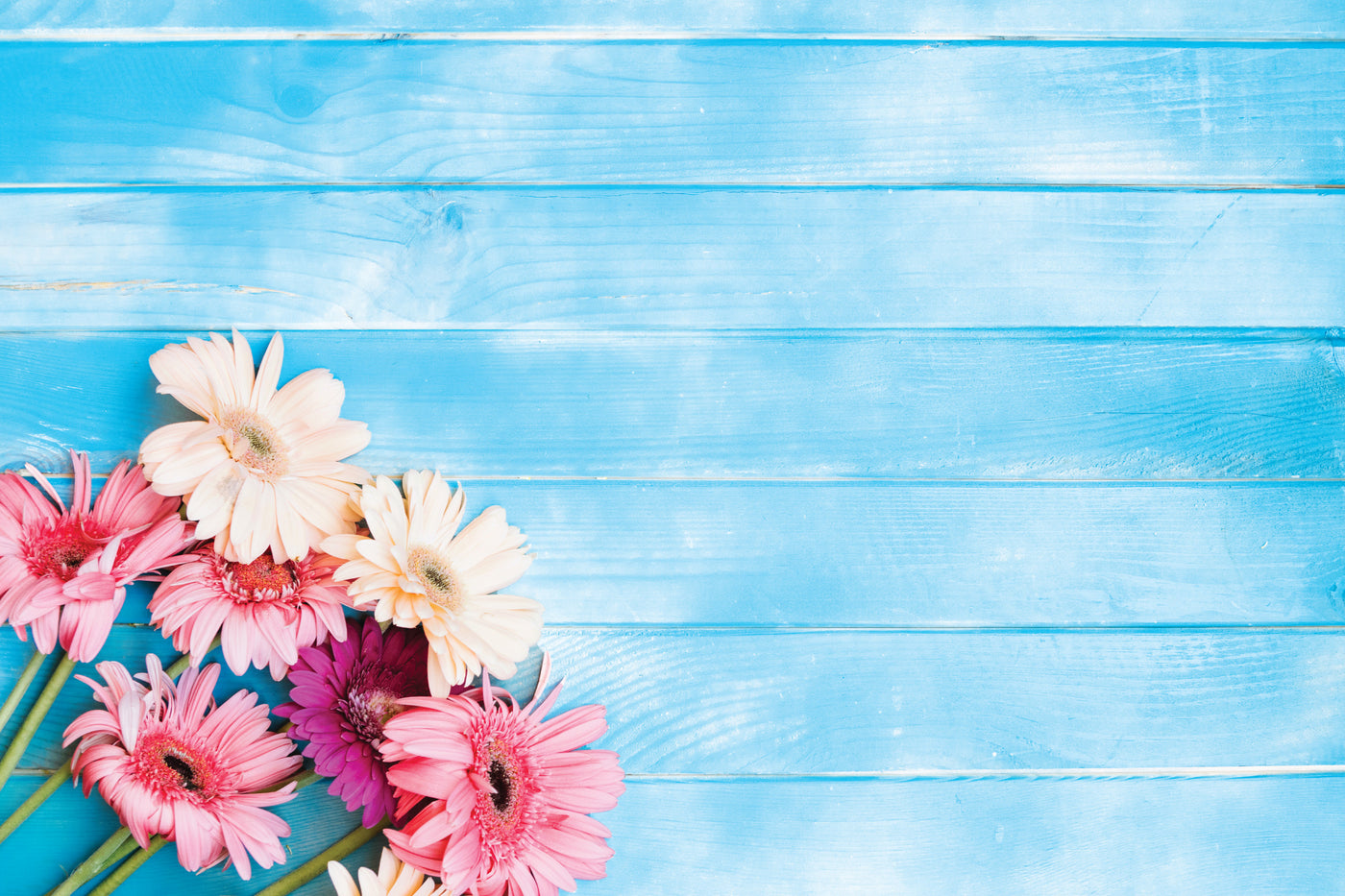 Rustic Flowers on Blue Glassboard