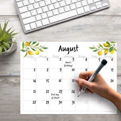 Monthly Calendar Sticker Doodles