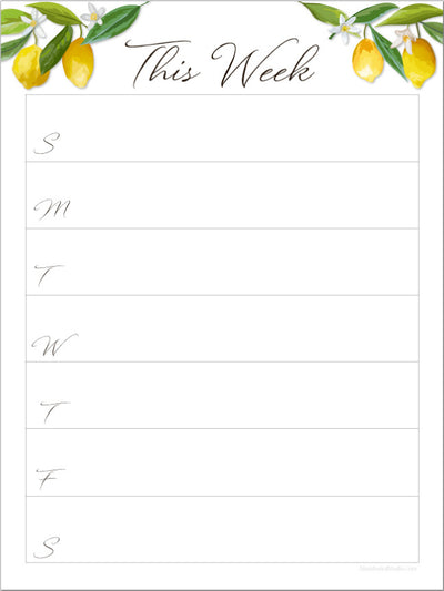 Weekly Calendar Sticker Doodles