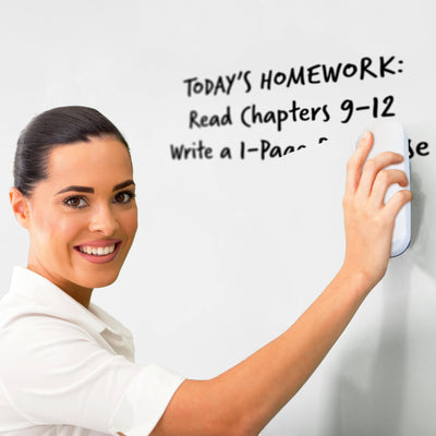 Magnetic Glassboard Erasers
