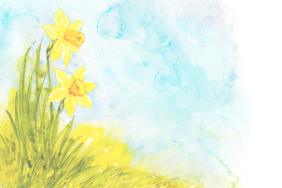 Watercolor Daffodil Glassboard