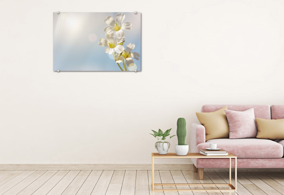 White Spring Flowers Glassboard