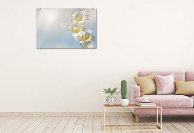 White Spring Flowers Glassboard