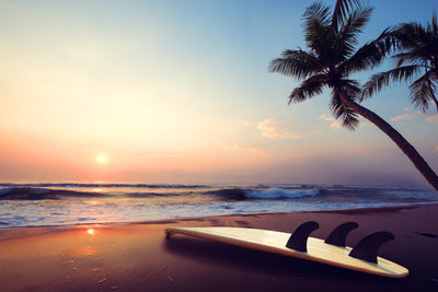 Sunset Surf Glassboard